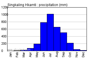 Singkaling Hkamti Burma Annual Precipitation Graph